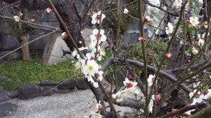 20160214_134925